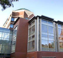 Neuroscience logo